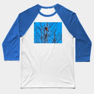 Red Cardinal in a bare Tree Baseball T-Shirt